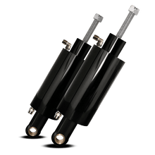 Load image into Gallery viewer, Bleed Feed Air Ride Kit For Harley Twin Cam / Softail (High Gloss Black)